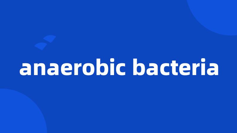 anaerobic bacteria