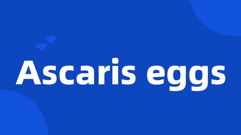 Ascaris eggs