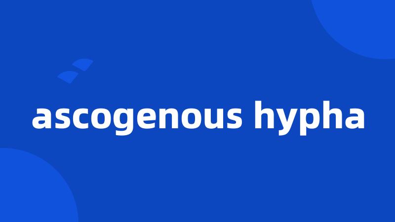 ascogenous hypha