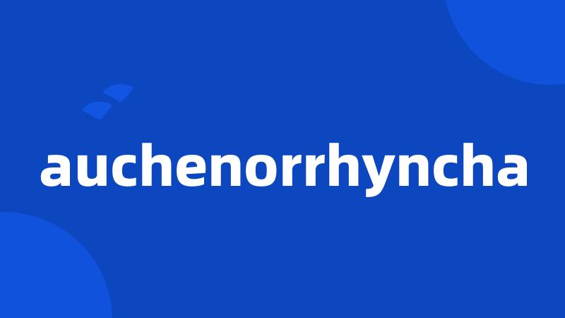 auchenorrhyncha