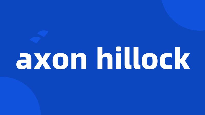 axon hillock