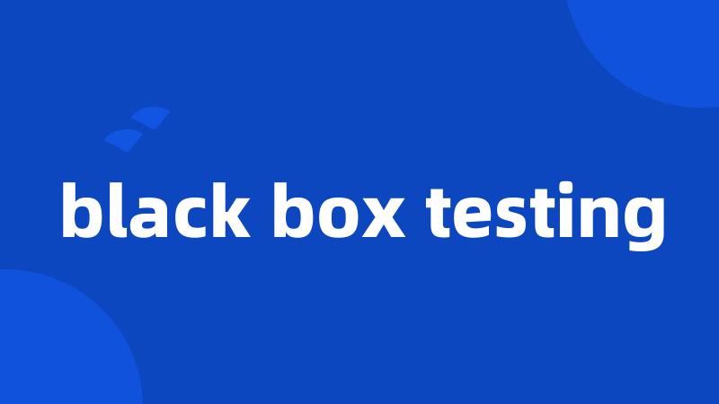 black box testing