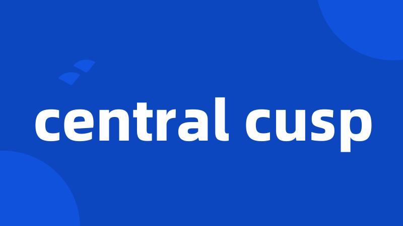 central cusp