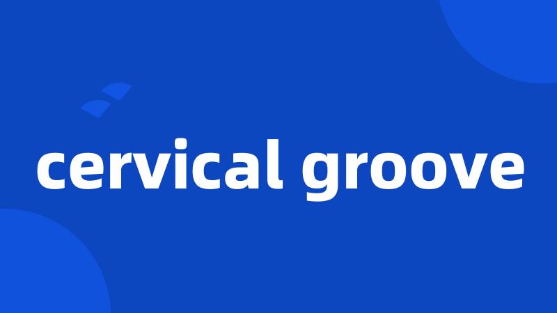 cervical groove