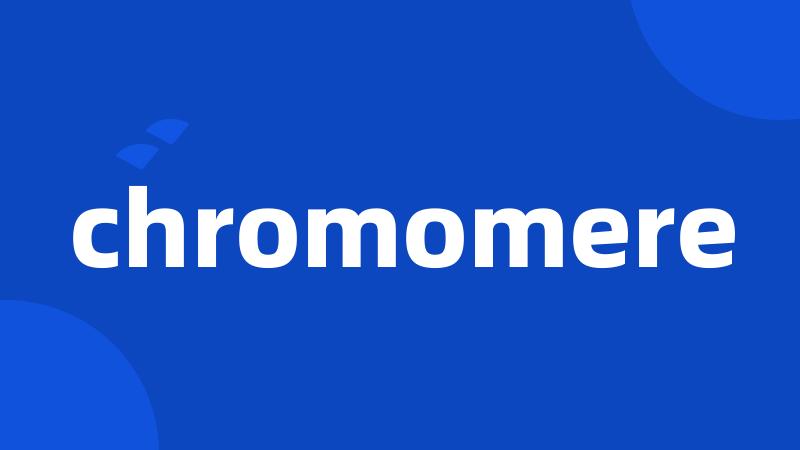 chromomere