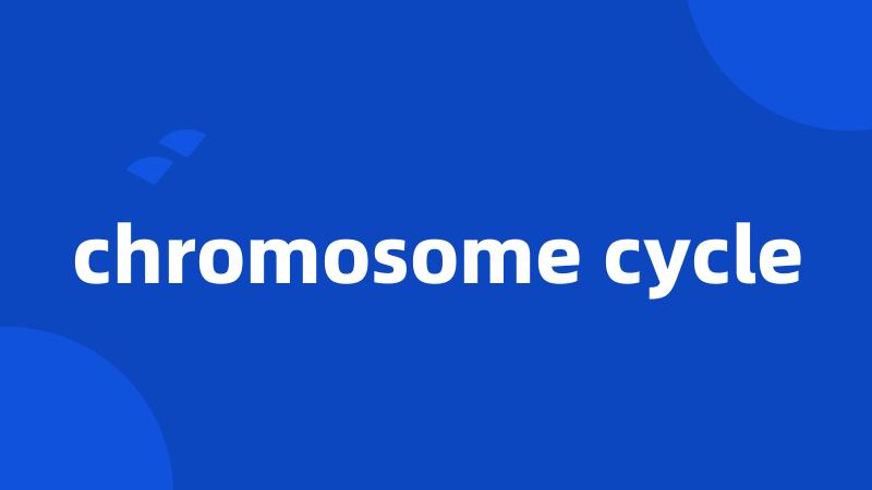 chromosome cycle