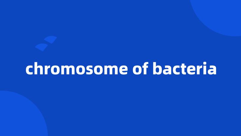 chromosome of bacteria