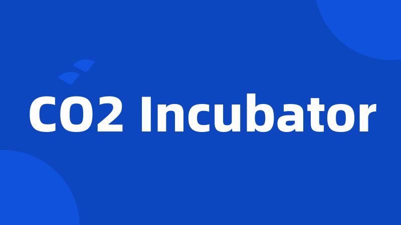 CO2 Incubator