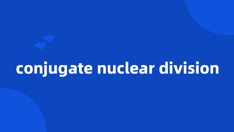 conjugate nuclear division