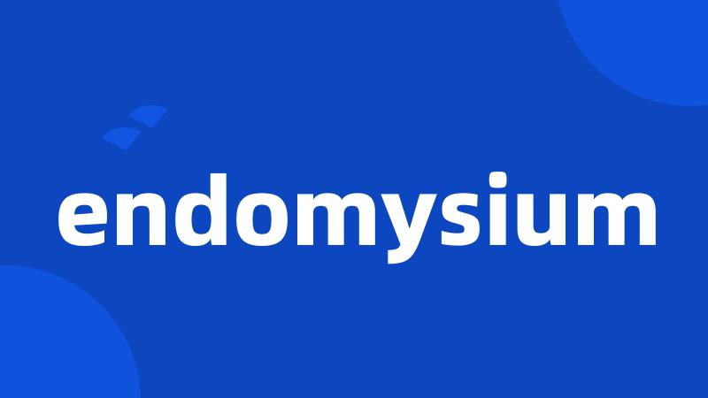 endomysium