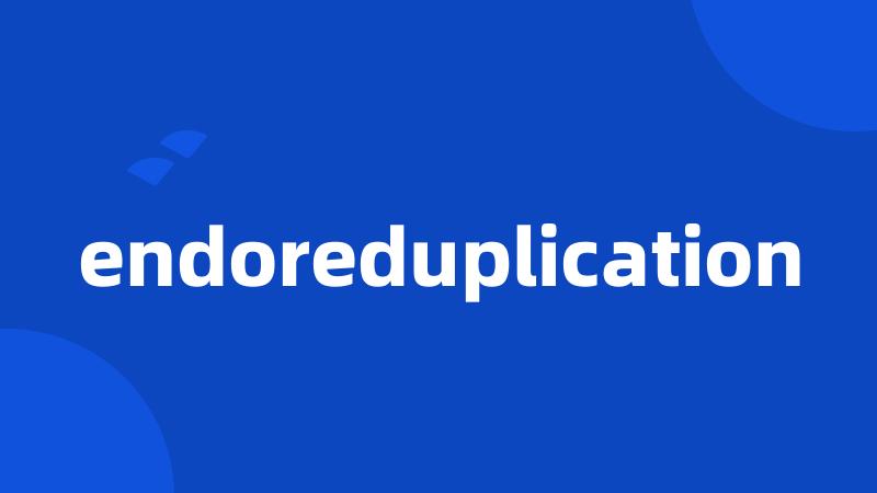 endoreduplication