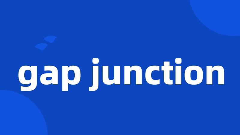 gap junction