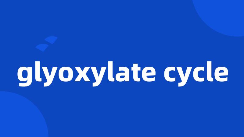 glyoxylate cycle