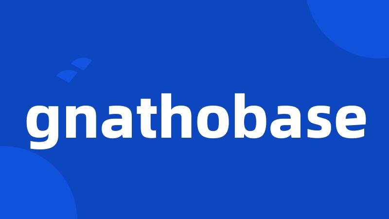 gnathobase