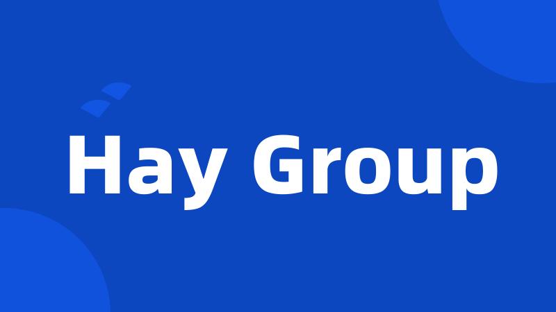 Hay Group