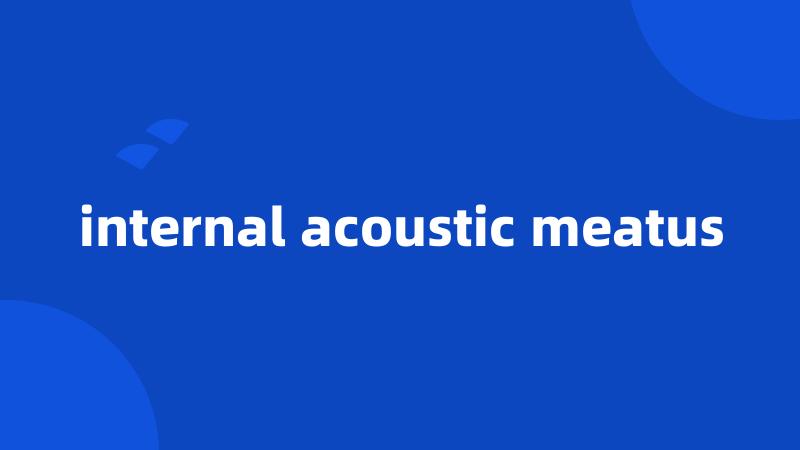 internal acoustic meatus