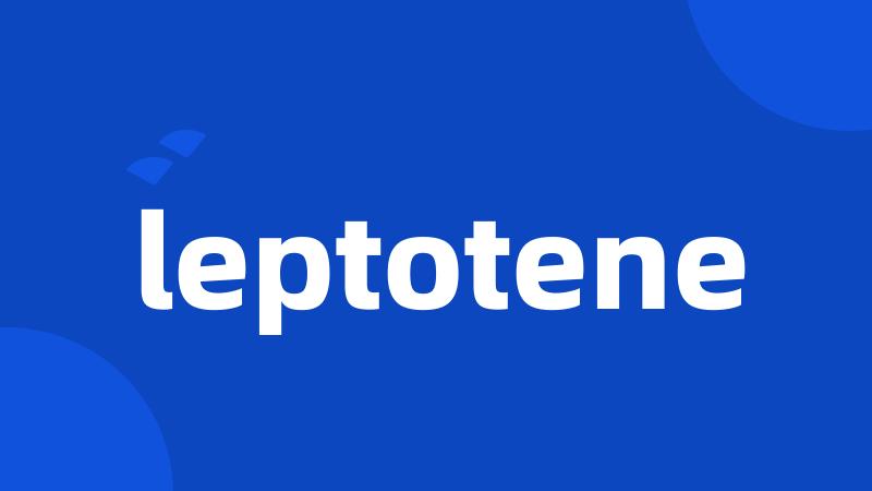 leptotene