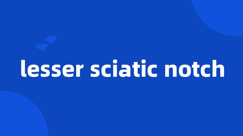 lesser sciatic notch