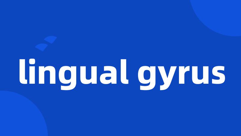 lingual gyrus