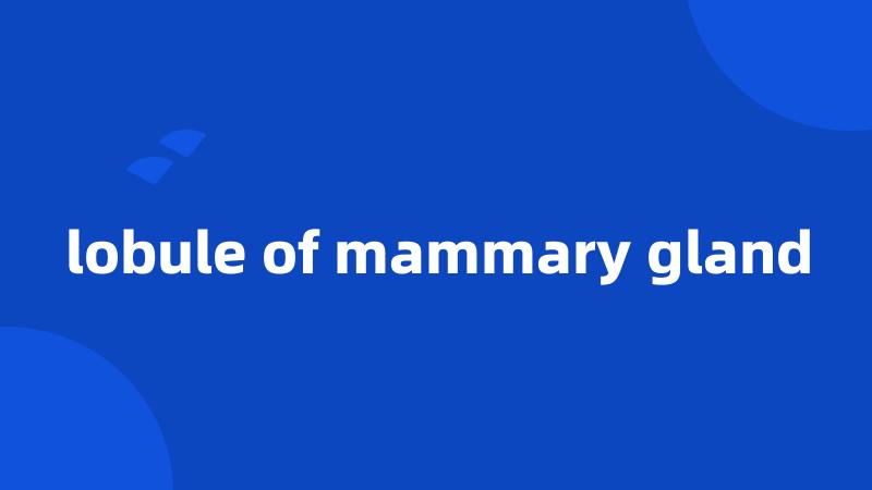 lobule of mammary gland