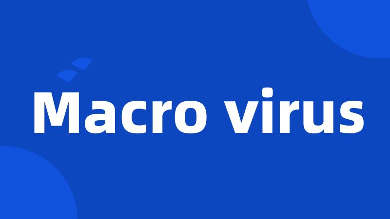 Macro virus