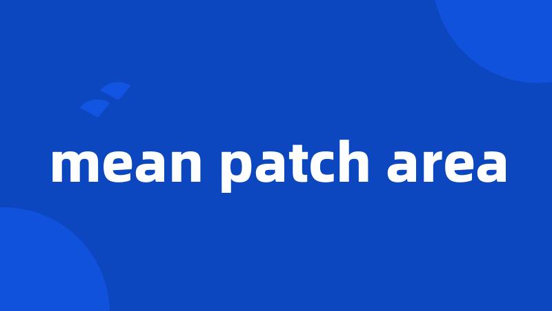 mean patch area