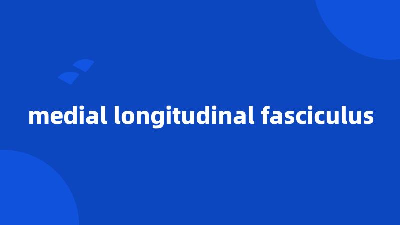 medial longitudinal fasciculus