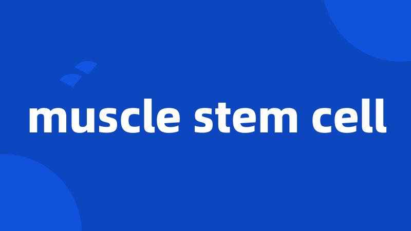 muscle stem cell