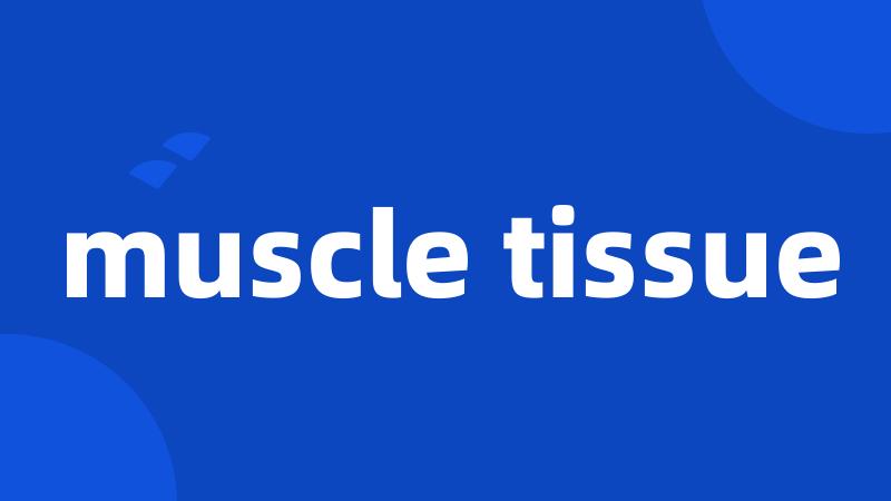 muscle tissue