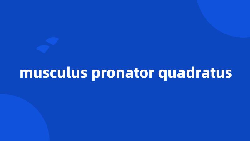 musculus pronator quadratus