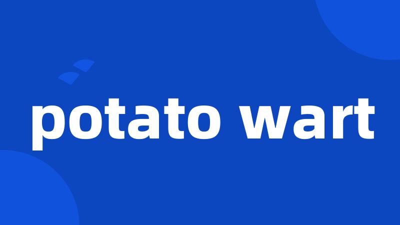 potato wart