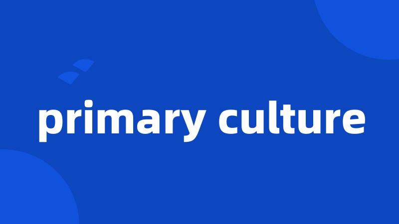 primary culture