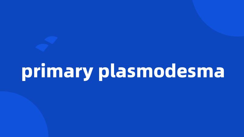 primary plasmodesma