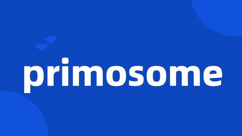 primosome