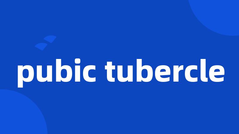 pubic tubercle