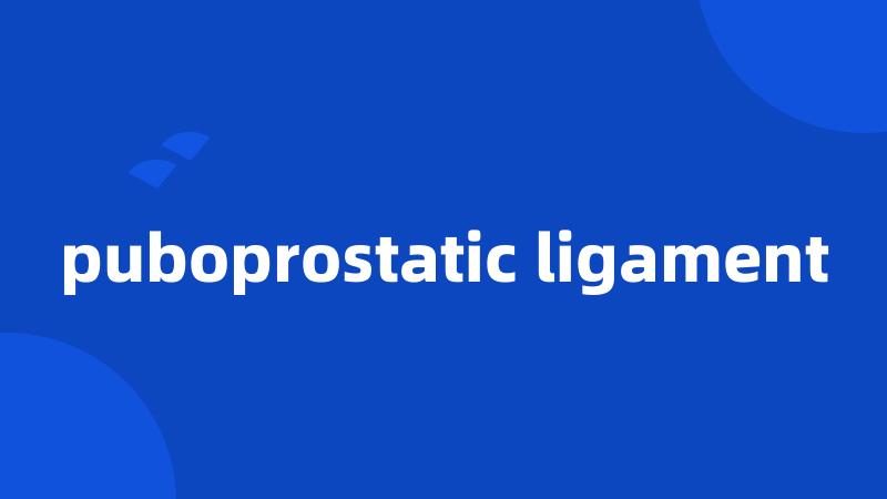 puboprostatic ligament