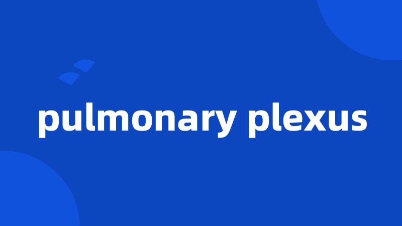 pulmonary plexus