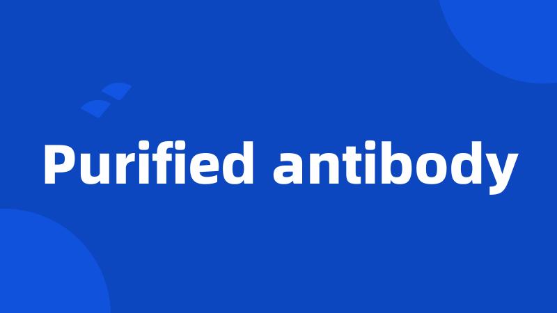 Purified antibody