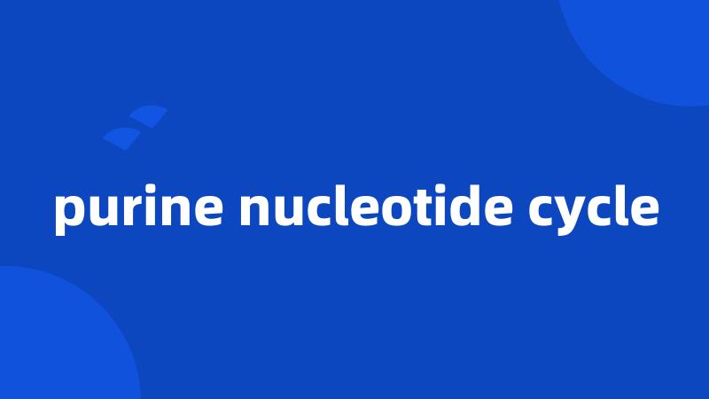 purine nucleotide cycle