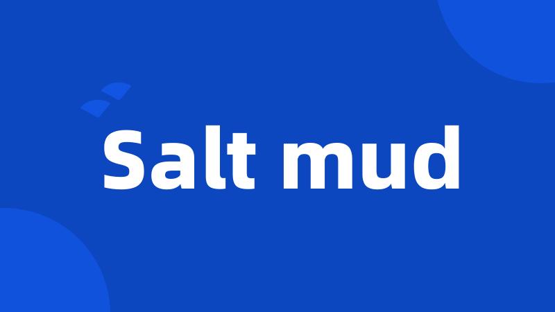 Salt mud