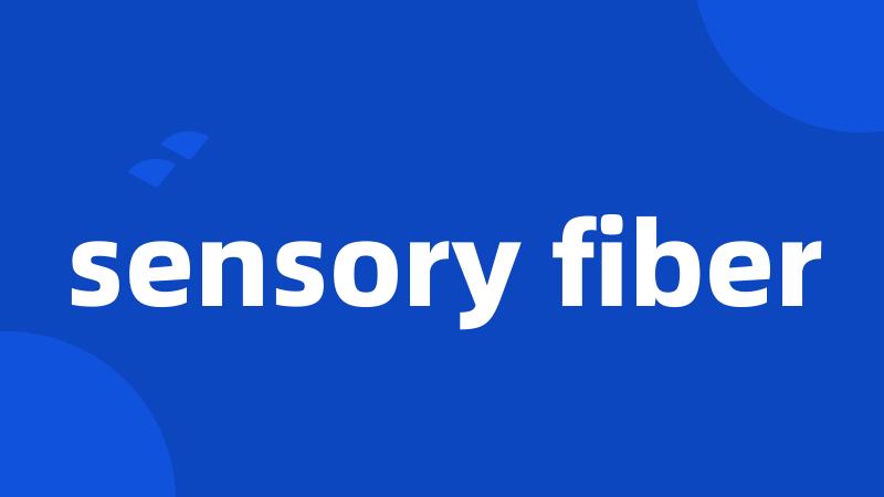 sensory fiber