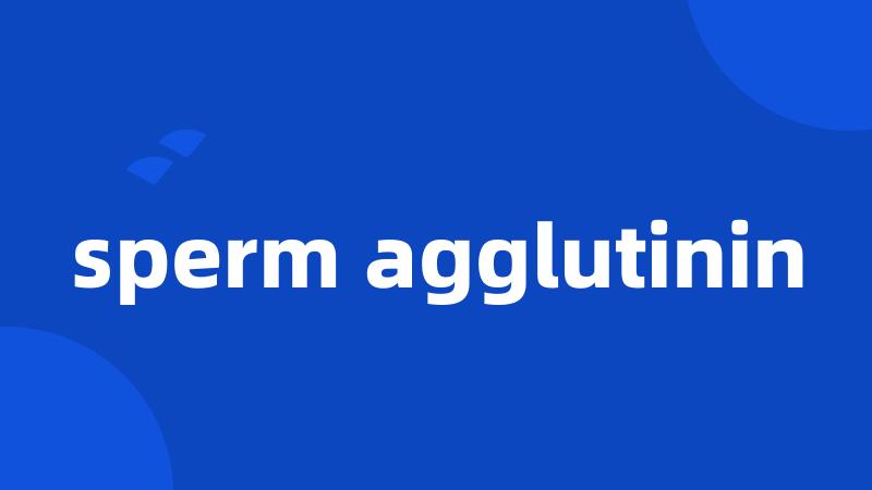 sperm agglutinin