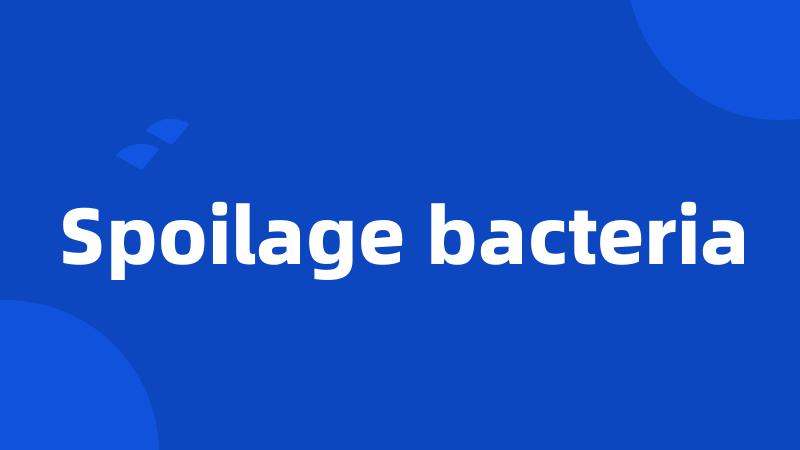 Spoilage bacteria