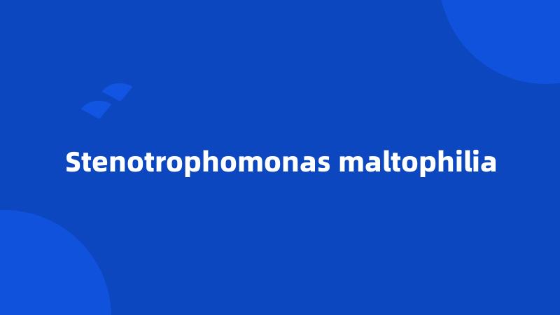 Stenotrophomonas maltophilia