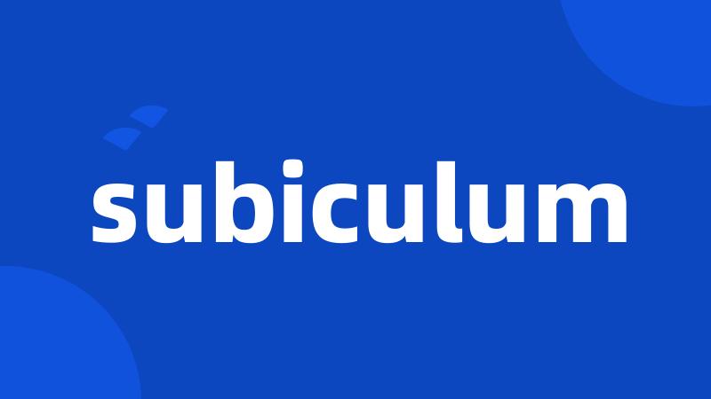 subiculum