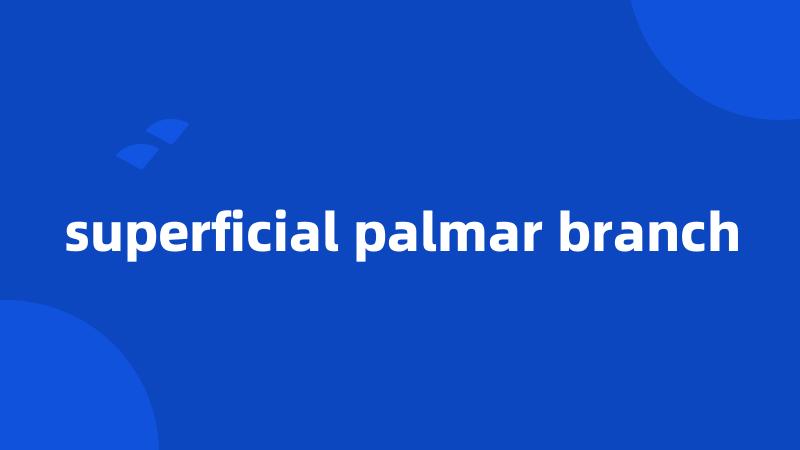 superficial palmar branch