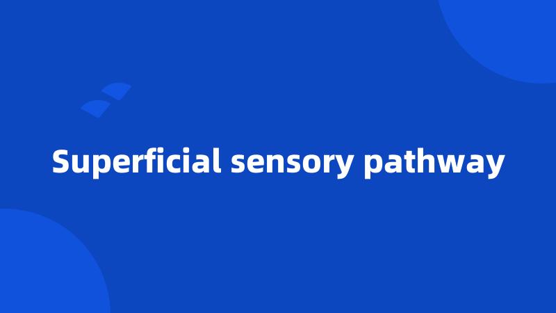 Superficial sensory pathway