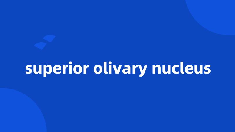 superior olivary nucleus