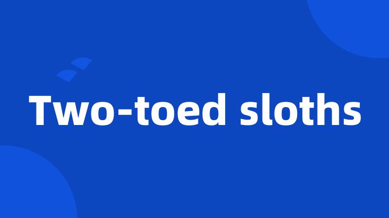 Two-toed sloths