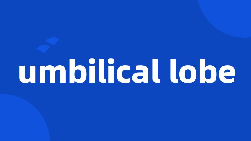 umbilical lobe